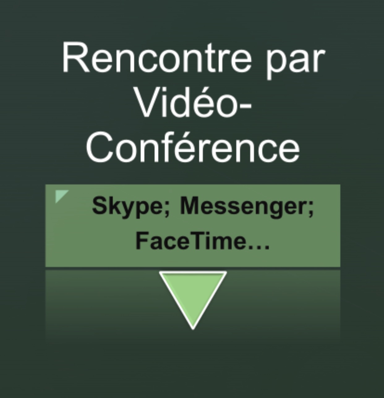 Rencontre vidéoconférence 1